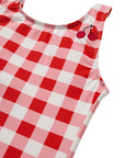 Seaside Gingham / One Piece Swimsuit / Cherry