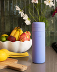 Porter Insulated Bottle