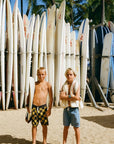 Seaesta Surf Trunks / Juniors / Interchange Checks