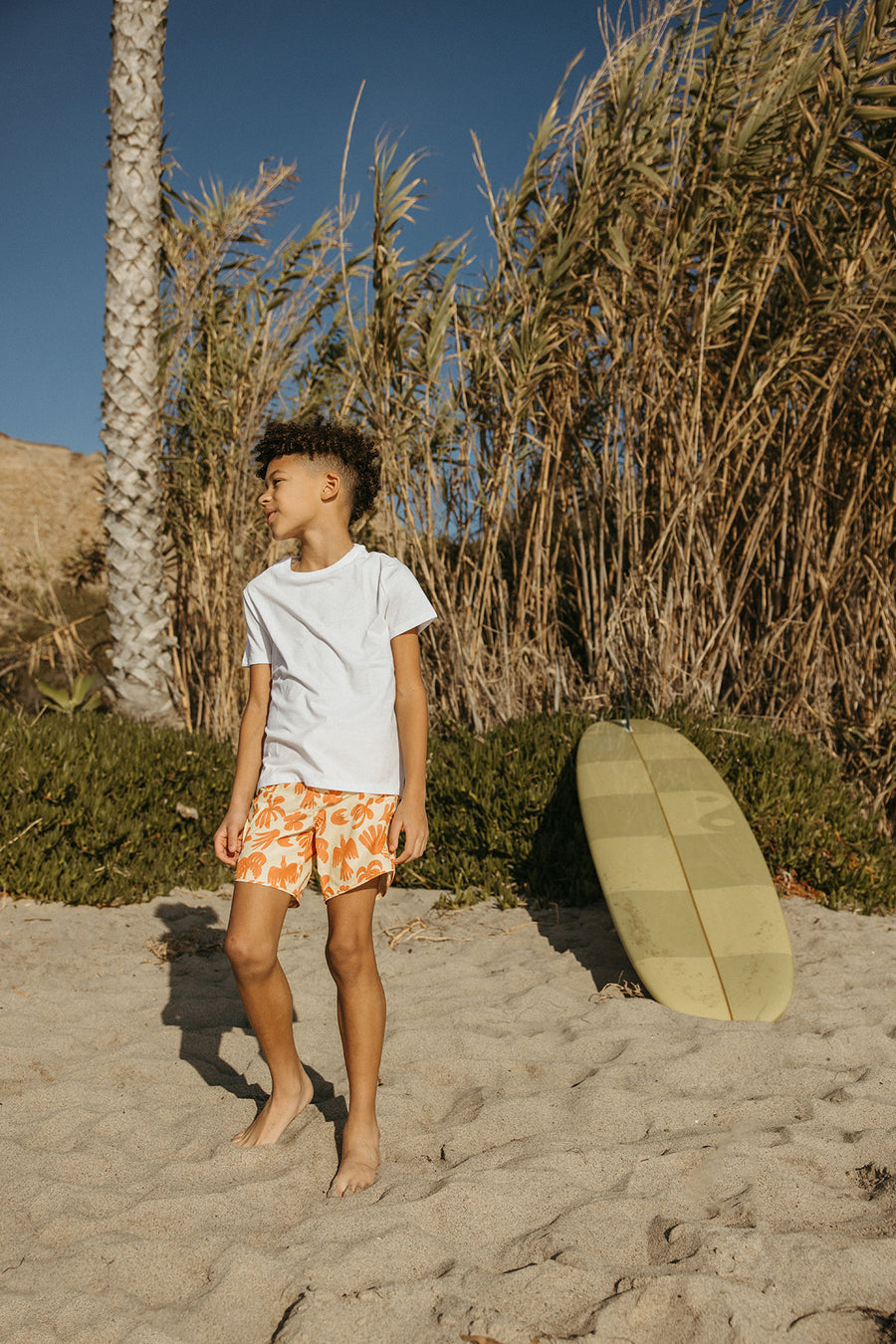 Seaesta Surf x Ty Williams / Almond / Boardshorts