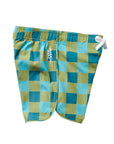 Seaside Gingham / Sea Moss / Boardshorts