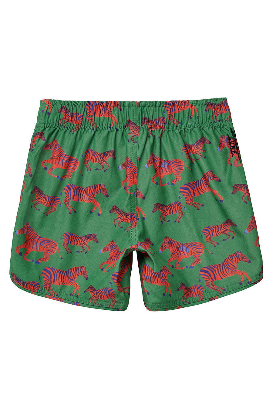 Zébre Boardshorts / Emerald